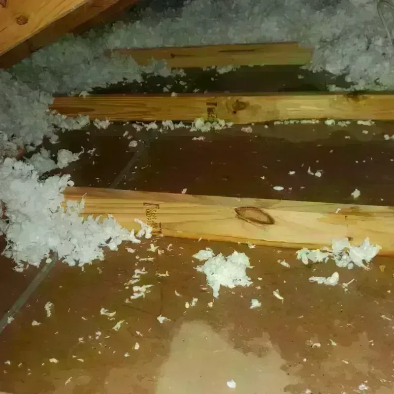 Attic Water Damage in Newport News, VA